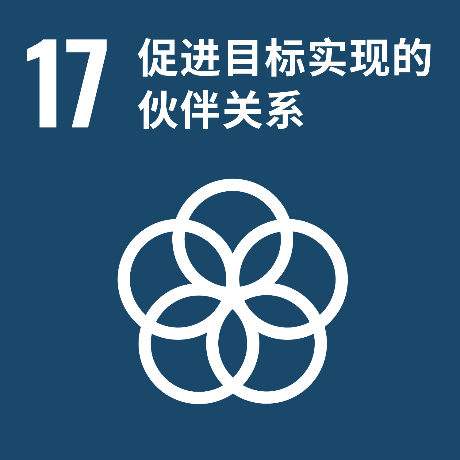 目标17：伙伴关系