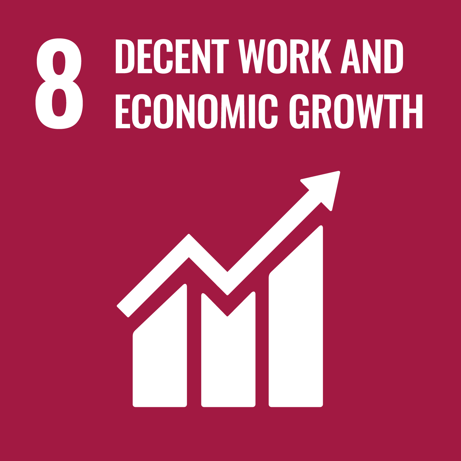 Goal 8: Decent Work